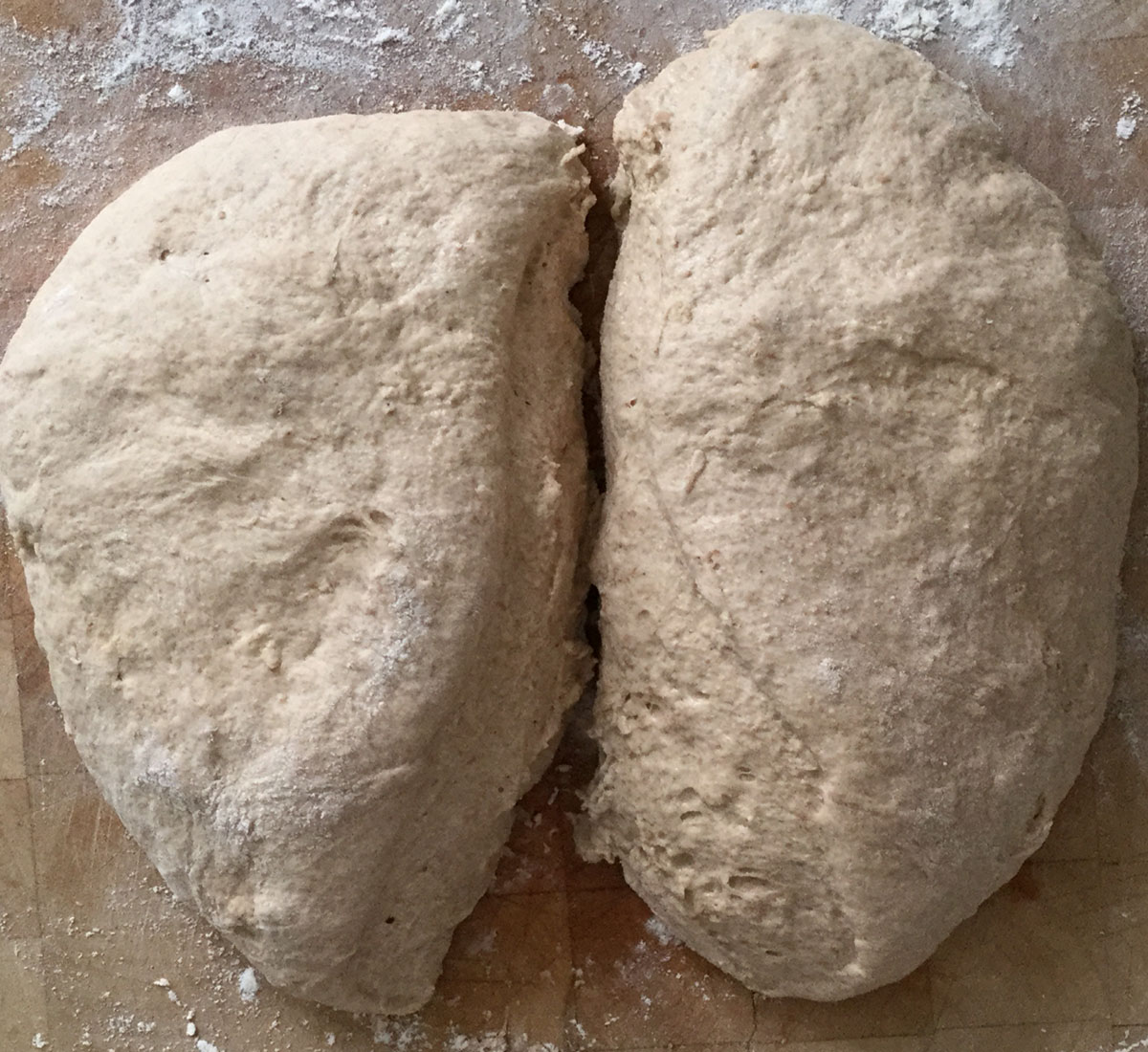 spelt-2-dough-loaves