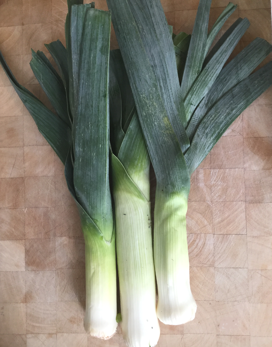 leeks 1400 x 1100