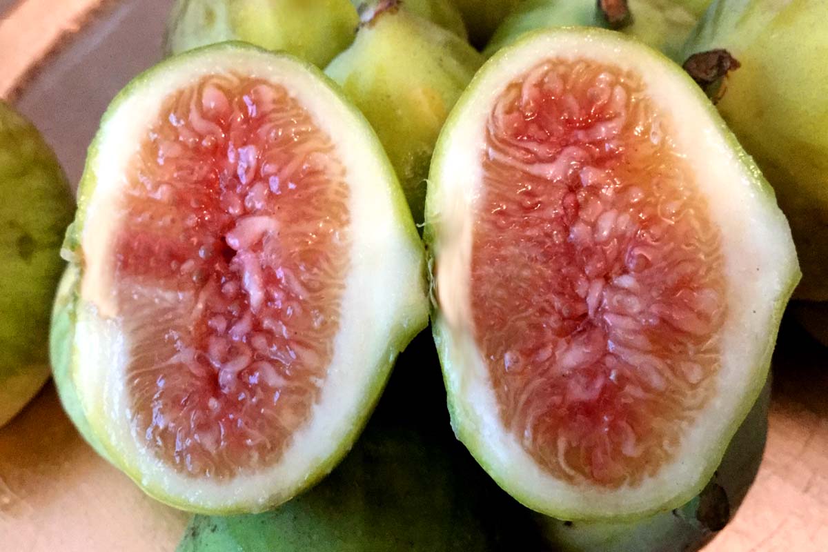 fig-cut