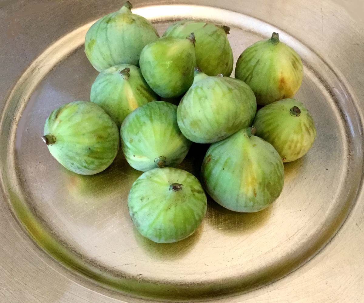 figs-green